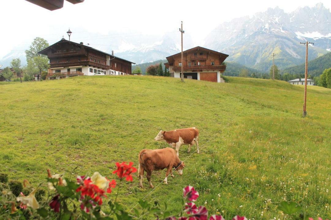 Pension Sunnberg Going am Wilden Kaiser Exterior photo